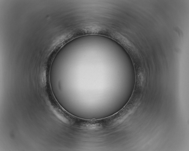 X0000111850638200907231429