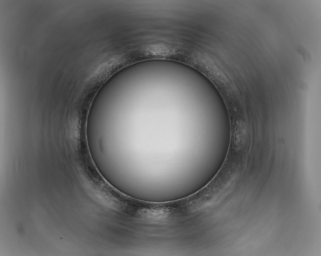 X0000111850639200907231429