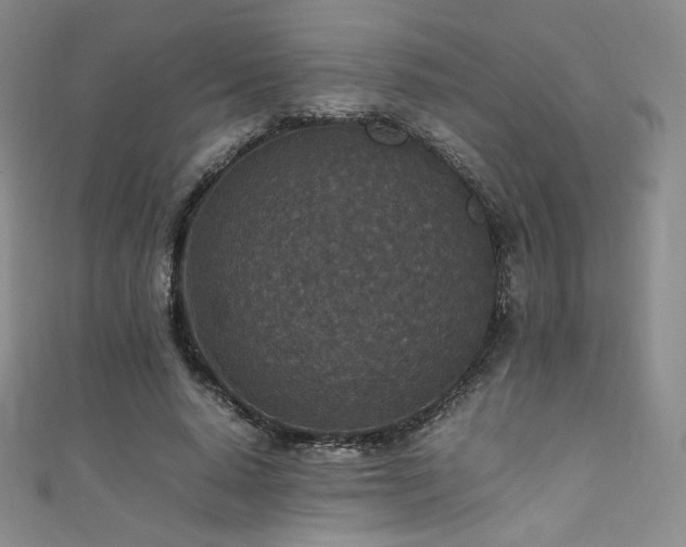 X0000111850640200907231429