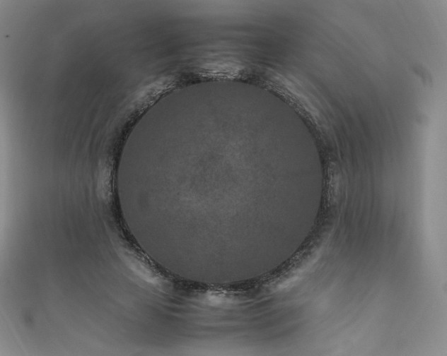 X0000111850641200907231429
