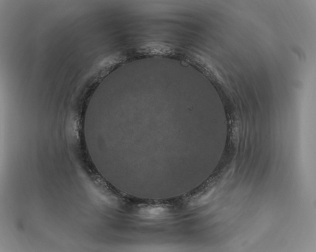 X0000111850643200907231429