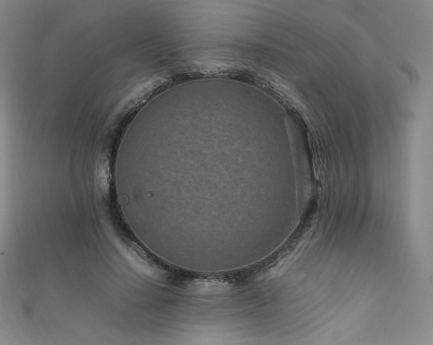 X0000111850644200907231429