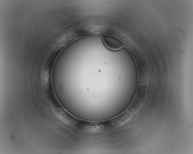 X0000111850646200907231429
