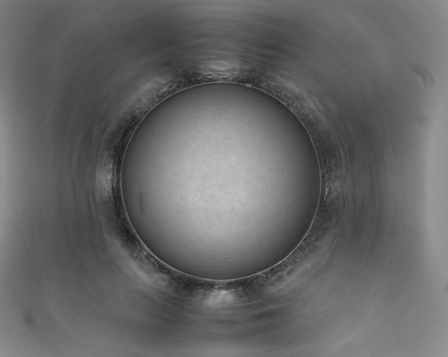 X0000111850647200907231429
