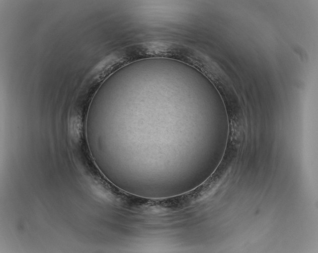 X0000111850648200907231429