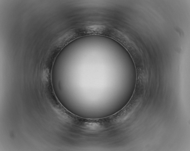 X0000111850649200907231429