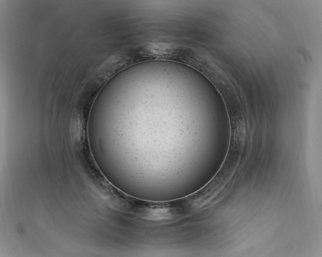 X0000111850651200907231429
