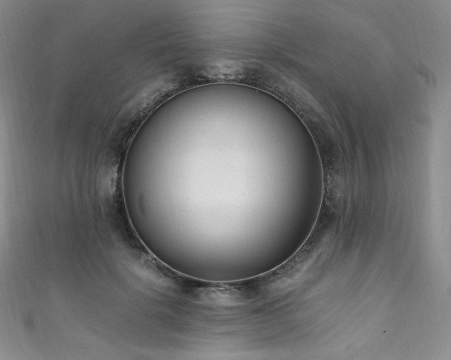 X0000111850652200907231429