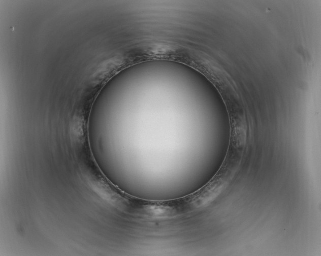 X0000111850654200907231429