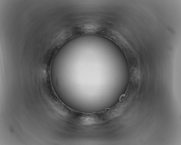 X0000111850655200907231429