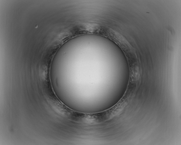 X0000111850656200907231429
