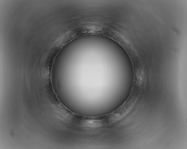 X0000111850657200907231429