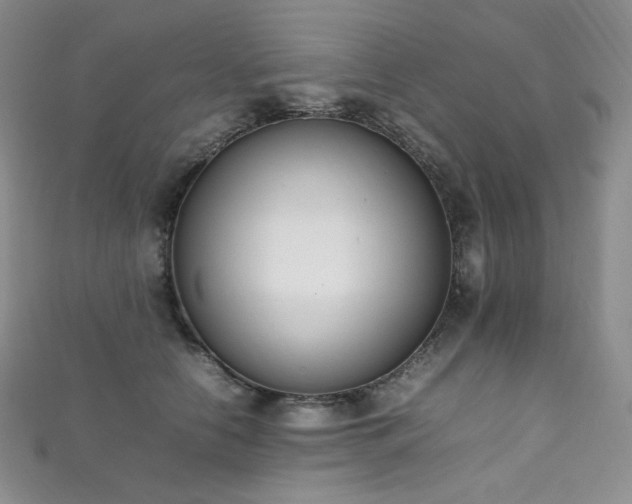 X0000111850658200907231429