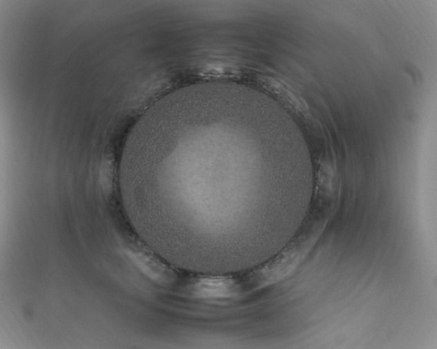 X0000111850659200907231429
