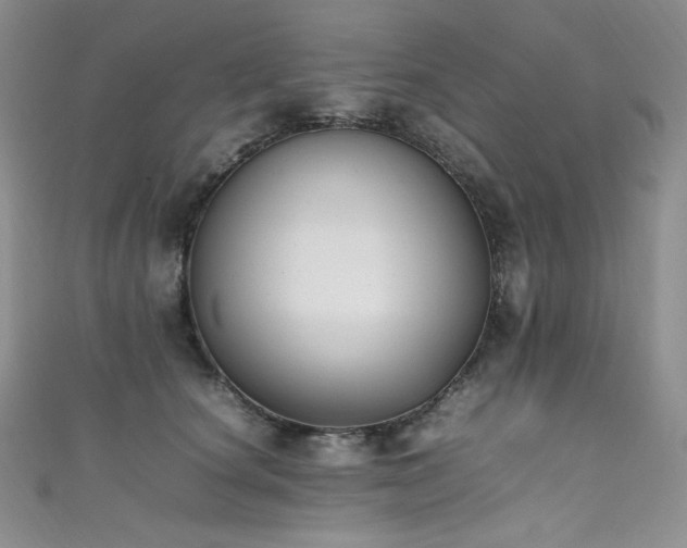X0000111850660200907231430