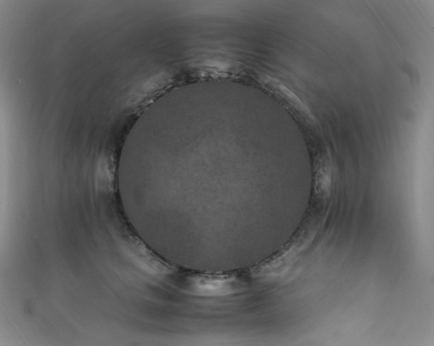X0000111850661200907231430
