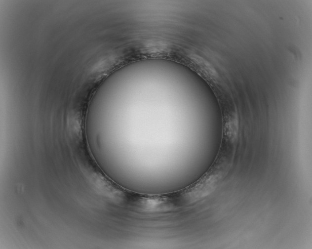 X0000111850662200907231430