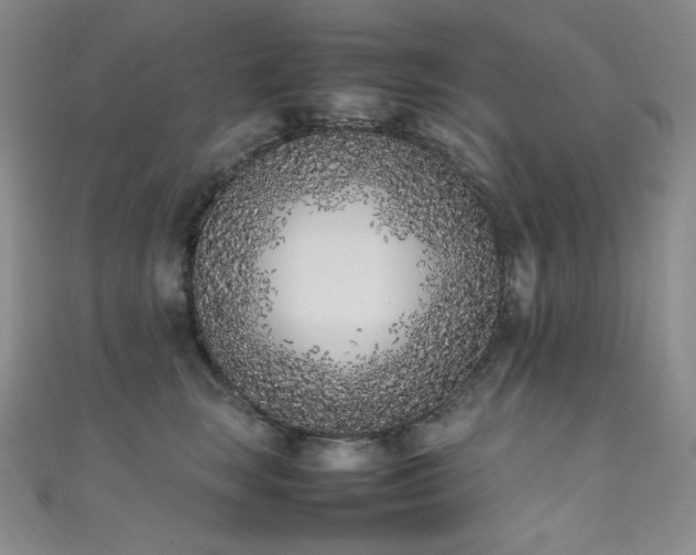 X0000111850663200907231430