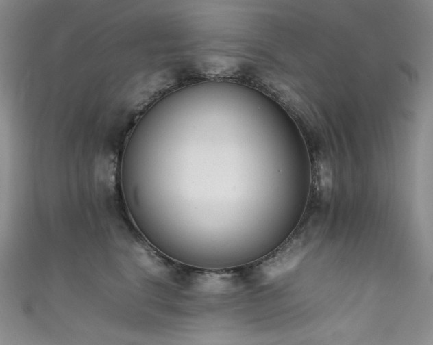 X0000111850664200907231430
