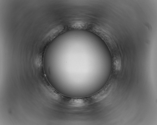 X0000111850665200907231430