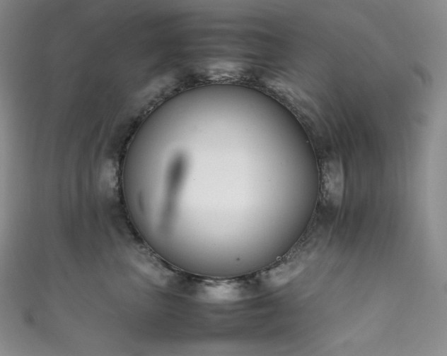 X0000111850667200907231430