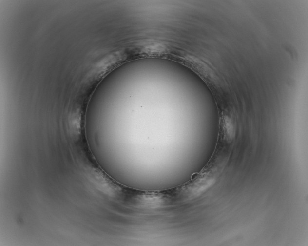 X0000111850668200907231430