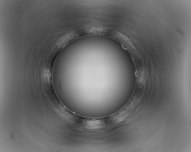 X0000111850669200907231430