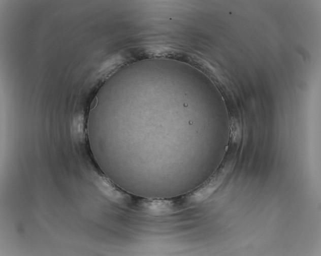 X0000111850670200907231430