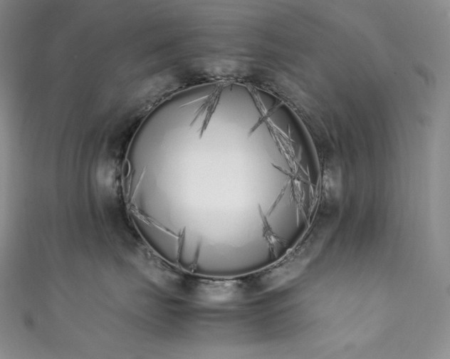 X0000111850671200907231430
