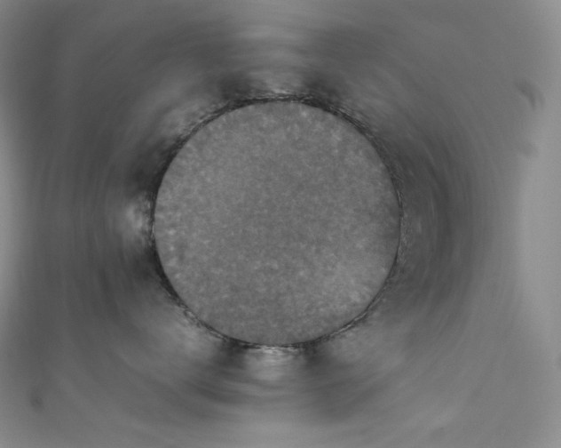 X0000111850672200907231430