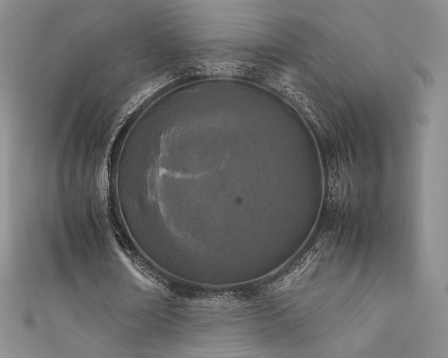 X0000111850674200907231429