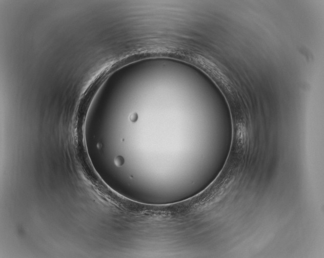 X0000111850676200907231429