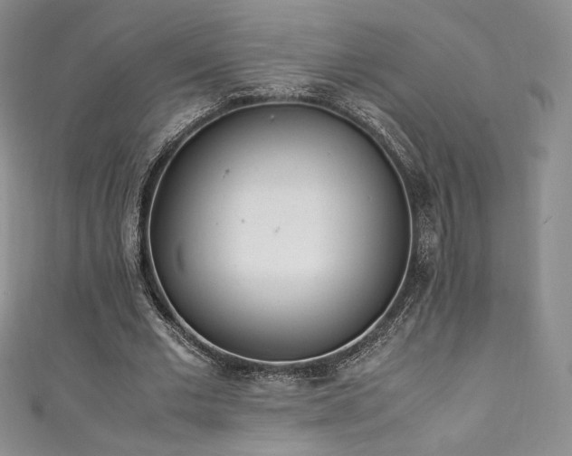 X0000111850677200907231429