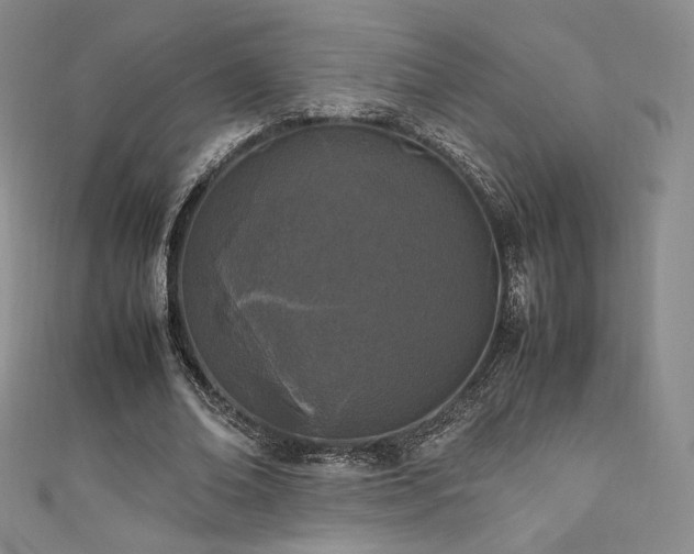 X0000111850678200907231429