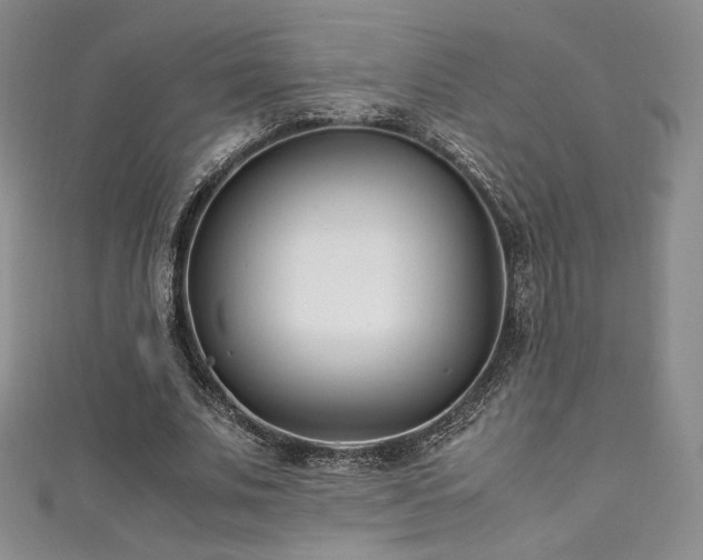 X0000111850679200907231429