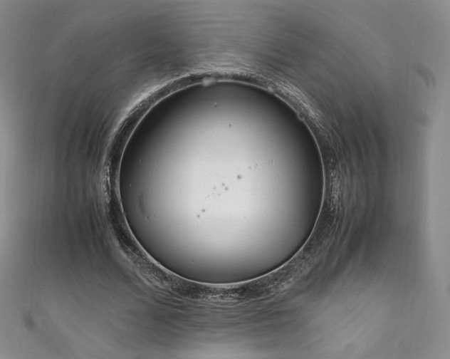 X0000111850680200907231429