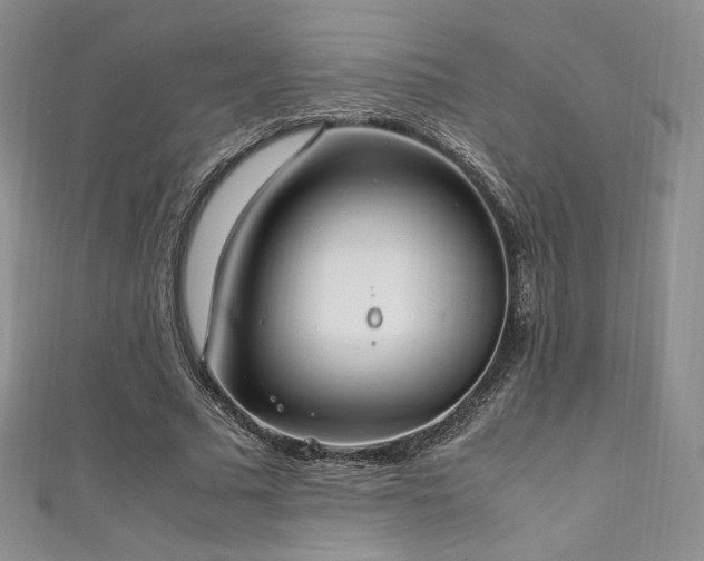 X0000111850681200907231429
