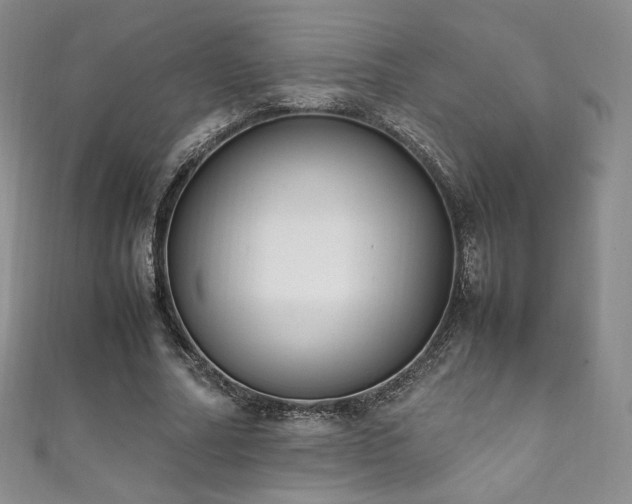 X0000111850682200907231429
