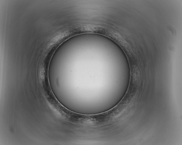 X0000111850683200907231429