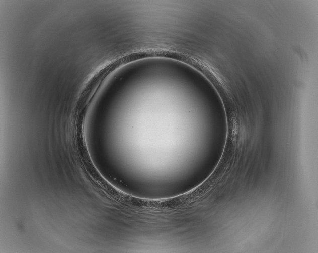 X0000111850684200907231429