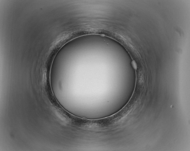 X0000111850685200907231429