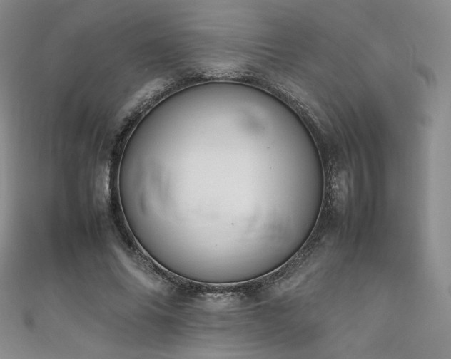X0000111850686200907231429