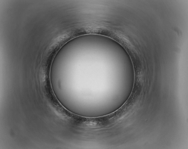 X0000111850687200907231429