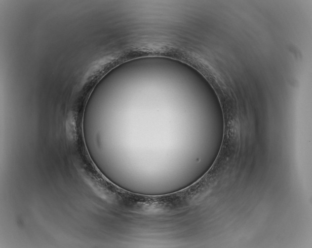 X0000111850688200907231429