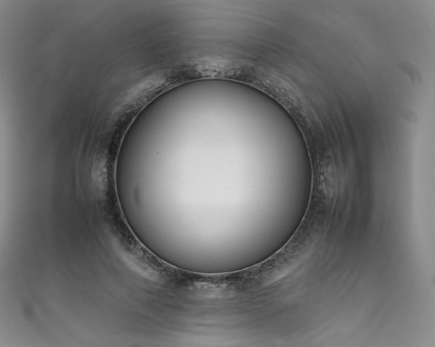 X0000111850690200907231429