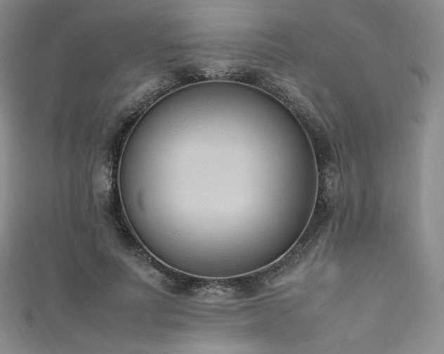 X0000111850691200907231429
