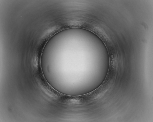 X0000111850692200907231429