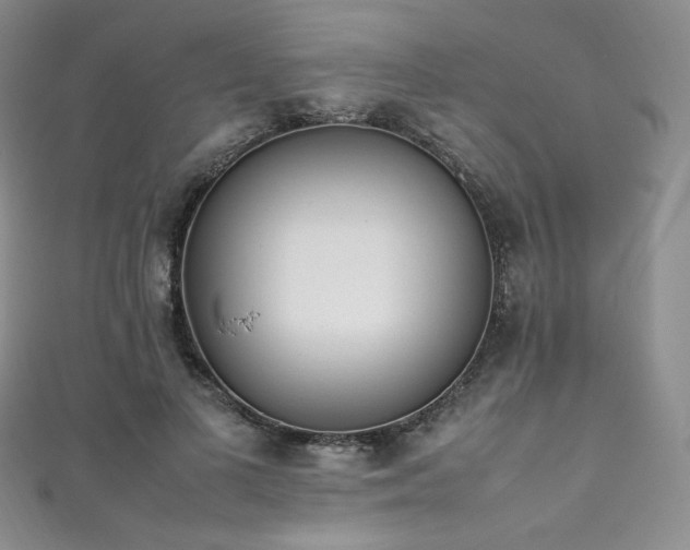 X0000111850693200907231429