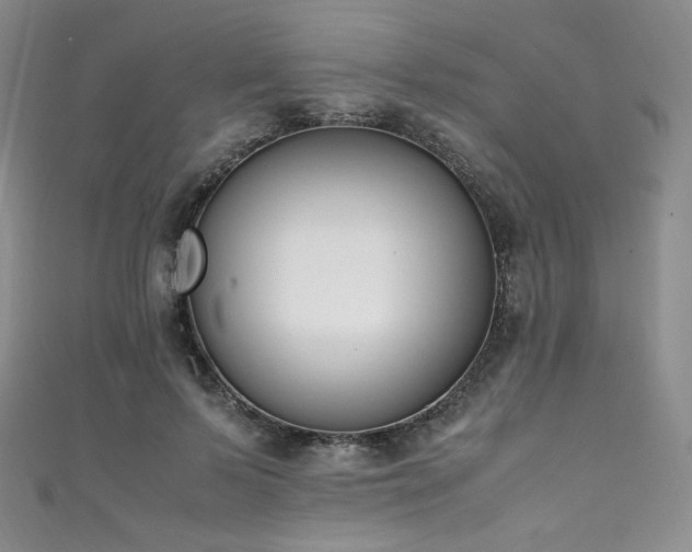 X0000111850695200907231429
