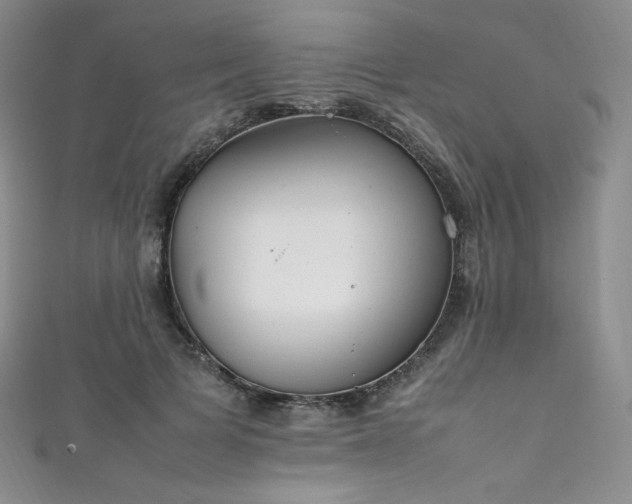 X0000111850697200907231429